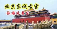 国产自拍第12页中国北京-东城古宫旅游风景区
